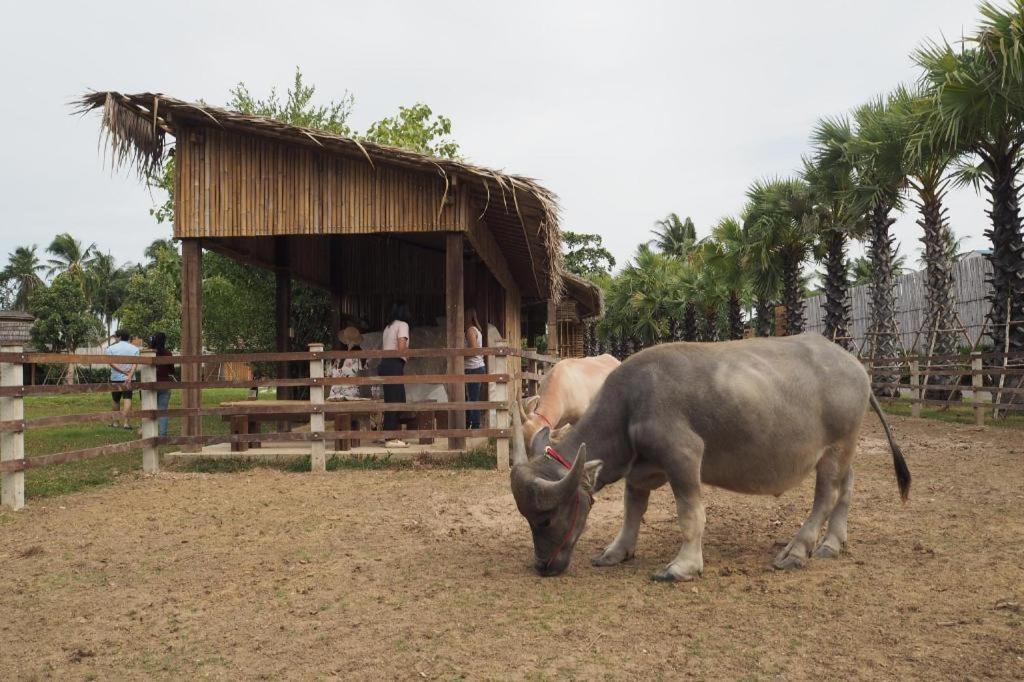 The Buffalo Amphawa Hotel Szamutszongkhram Kültér fotó