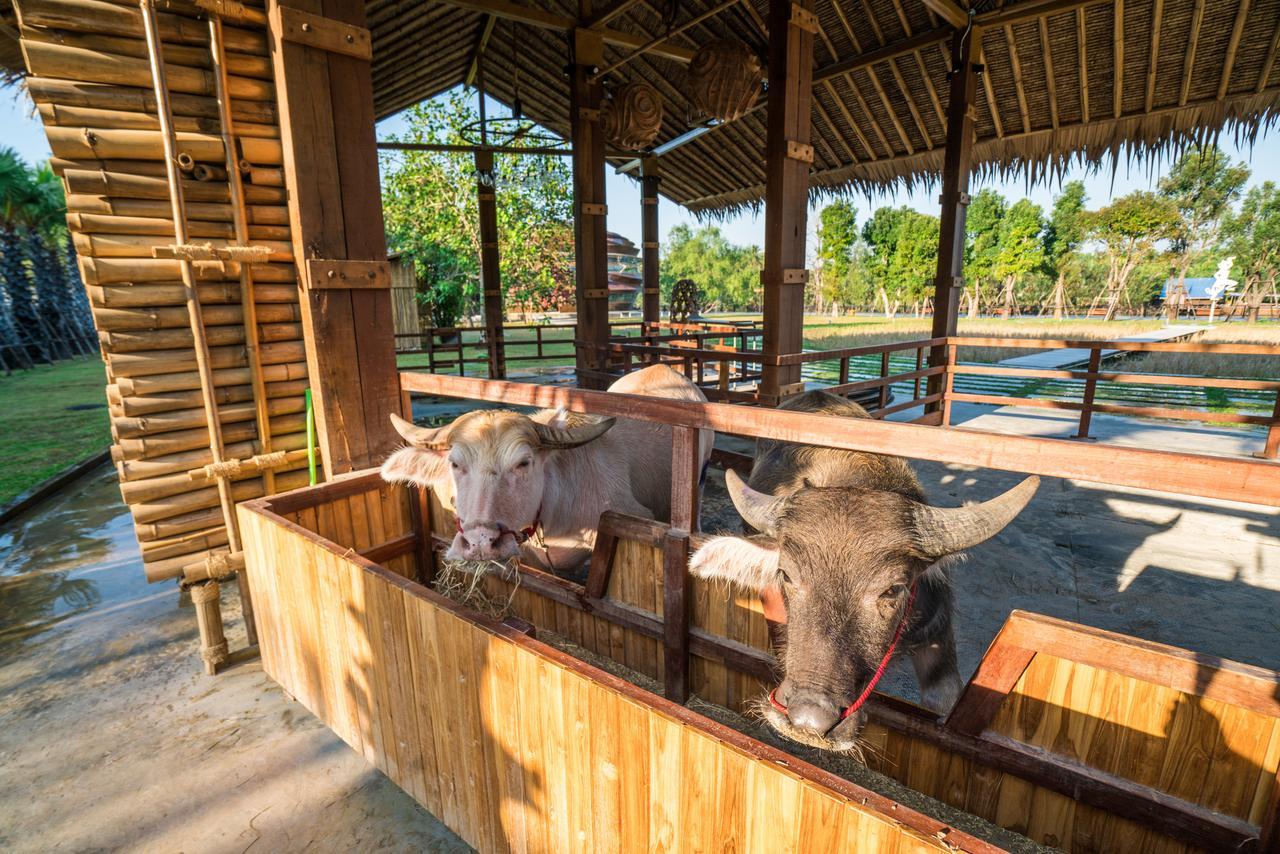 The Buffalo Amphawa Szamutszongkhram Kültér fotó